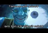 Semem ent eT'UOY em ton e'ti yllenit sdsH