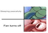Sleeping peacefully Fan turns off