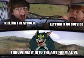 KILLING THE SPIDER imgflip.com LETTING IT GO OUTSIDE THROWING IT INTO THE ANT FARM ALIVE
