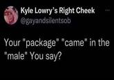 Kyle Lowry's Right Cheek @gayandsilentsob Your "package" "came" in the "male" You say?