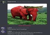 Supreme Jan 26, 2022 11:05 AM NEW MESSAGES cake Jan 26, 2022 11:07 AM This photo isn't loading cake Jan 26, 2022 11:07 AM Gabe if I refresh discord and it's strawberry elephant I'm going back to sleep