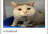 oh to be loved... Ichabod 2 Je ichysmom