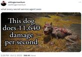 ettingermentum @ettingermentum what every secret service agent sees This dog does 11,640 damage per second 2:26 PM Oct 3, 2023 366.1K Views ...