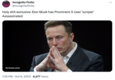H-------- exclusive: Elon Musk has Prominent X User 'Juniper' Assassinated PRE ELON M S A PEDOF ▼ Incognito Finito @incognitofinito H-------- exclusive: Elon Musk has Prominent X User 'Juniper' Assassinated fortune.com 1:25 PM . Oct 6, 2023 6,277 Views ...