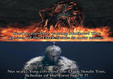 You're too late, young Hollow! The power of the Dark Souls is now mine! u/deadsparker No way! You coveted the Dark Souls Too, Scholar of the First Sin™ ?!