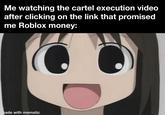 Me watching the cartel execution video after clicking on the link that promised me Roblox money: made with mematic