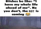Bitches be like: "I have my whole life ahead of me". No you don't, the ROT is coming