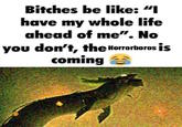Bitches be like: "I have my whole life ahead of me". No you don't, the Horrorboros is coming