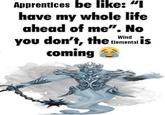 Apprentices be like: "I have my whole life ahead of me". No Wind you don't, the Elemental is coming