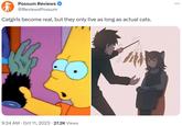 Possum Reviews @ReviewsPossum Catgirls become real, but they only live as long as actual cats. 9:24 AM - Oct 11, 2023 27.2K Views