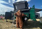 An August 2023 photo at an event in Loveland, Colorado showing the Bigfoot costume owned by Sasquatch Expedition Campers.