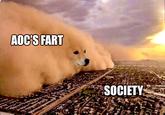 AOC'S FART SOCIETY