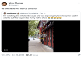 Vinny Thomas @vinn_ayy 48 OYSTERS??? Walrus behavior omShanti @MotorCityVIXEN · Oct 11 I'm watching this irritated because she was exposing my favorite oyster spot in Atlanta but this wayyyy too funny not to share 2:06 TikTok www.dorante BAR FONTAINES Oyster bar ATL, GA 12:44 PM Oct 12, 2023 321.4K Views : PA