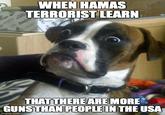 WHEN HAMAS TERRORIST LEARN Reebo THAT THERE ARE MORE GUNS THAN PEOPLE IN THE USA imgflip.com