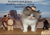 So you're just gonna scroll by without saying meowdy?