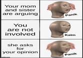 Your mom and sister are arguing You are not involved she asks for your opinion imgflip.com Panik Kalm Panik