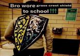 Bro wore grass crest shield to school M