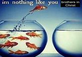 im nothing like you brothers in Christ