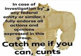 In case of investigation by any federal entity or similar, I fully endorse all lotr-fan actions and opinions tofa expressed in this group. Catch me if you can, c----