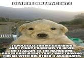 DEAR FEDERAL AGENTS IAPOLOGIZE FOR MY BEHAVIOR AND I PINKY PROMISED TO NEVER DO IT AGAIN TO THE HANDSOME AND BLONDE AGENT THAT CAME LOOKING FOR ME WITH HIS OTHER 3 ASSOCIATES