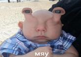 мяу
