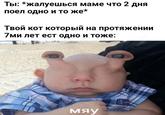 Ты: *жалуешься маме что 2 дня поел одно и то же* Твой кот который на протяжении 7ми лет ест одно и тоже: мяу