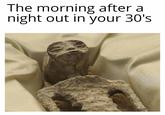 The morning after a night out in your 30's