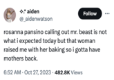 MrBeast vs. Rosanna Pansino Creator Games Controversy ✩.* aiden @_aidenwatson rosanna pansino calling out mr. beast is not what i expected today but that woman raised me with her baking so i gotta have mothers back. 6:52 AM - Oct 27, 2023 482.8K Views . Follow .