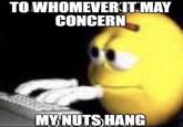 TO WHOMEVER IT MAY CONCERN MY NUTS HANG