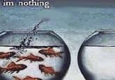 im nothing