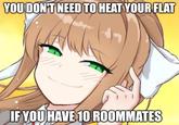 YOU DON'T NEED TO HEAT YOUR FLAT IF YOU HAVE 10 ROOMMATES