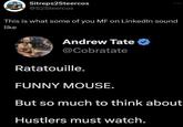 Sitreps2Steercos Caresse @S2 Steercos This is what some of you MF on LinkedIn sound like Andrew Tate @Cobratate Ratatouille. FUNNY MOUSE. But so much to think about Hustlers must watch.
