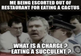 Democracy manifest | /r/dankmemes ME BEING ESCORTED OUT OF RESTAURANT FOR EATING A CACTUS WHAT IS A CHARGE? EATING A SUCCULENT?