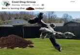 Cool Dog Group Randy Wilson 55 m. Ben's loving the today! ...