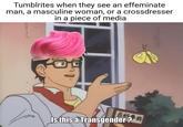 Tumblrites when they see an effeminate man, a masculine woman, or a crossdresser in a piece of media Is this a Transgender? 00 #