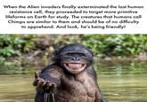 When the Alien invaders finally exterminated the last human resistance cell, they proceeded to target more primitive lifeforms on Earth for study. The creatures that humans call Chimps are similar to them and should be of no difficulty to apprehend. And look, he's being friendly!