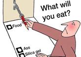 Food ac What will you eat? Ass Silica gel