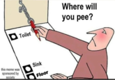 Toilet this meme was sponsored by society ap Sink Floor Where will you pee?
