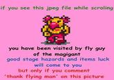 if you see this jpeg file while scroling H you have been visited by fly guy of the magigant good stage hazards and items luck will come to you but only if you comment 'thank flying man' on this picture