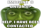 IMAGINE 8 ONIONS? HELP, I HAVE BEEN CONTACTED.