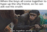 When the boys all come together to hype up the shy friend, so he can ask out his crush: Apes together strong.
