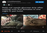 r/nottheonion Posted by u/jacko-mcn • 13h 1 31 Male cat needs glucose drip after mating with five females in one night in pet hotel News nzherald.co.nz + 33.9k + + JOIN 996 Share