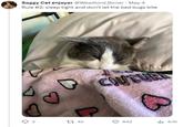Soggy Cat enjoyer @Weedlord_Boner - May 4 Rule #2: sleep tight and don't let the bed bugs bite 142 COUTURE 642 6.1K