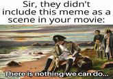Sir, they didn't include this meme as a scene in your movie: There is nothing we can do...