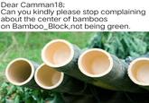 Dear Camman18; Can you kindly please stop complaining about the center of bamboos on Bamboo_Block, not being green. C im flip.com