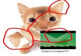 khajit is eirræbœ???