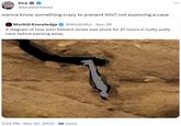 wanna know something crazy to prevent this? not exploring a cave kira @kirawontmiss wanna know something crazy to prevent this? not exploring a cave Morbid Knowledge @Morbidful. Nov 29 A diagram of how John Edward Jones was stuck for 27 hours in nutty putty cave before passing away. 3:34 PM . Nov 30, 2023 1M Views ...