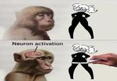 23 Neuron activation 293