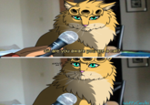DUCA Sir are you aware you are a cat? excuse me? WuffyCerulei