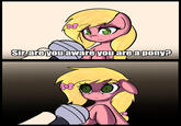 fo Sir, are you aware you are a pony? 44-1 441 | 21-